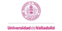 Socios Transcolab y Uni Valladolid