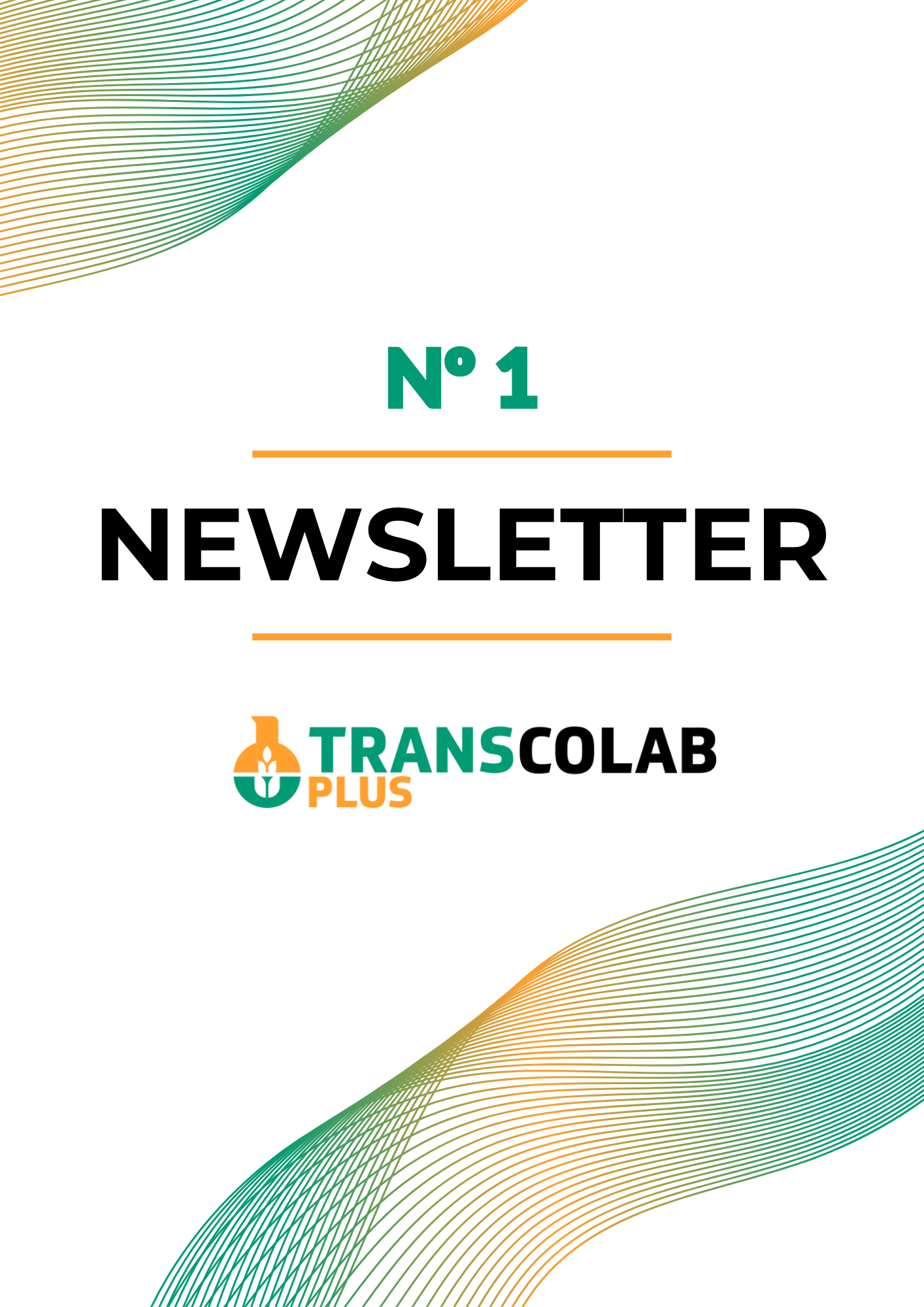 Imagen de portada de la Newsletter nº1 del Proyecto Transcolab Plus