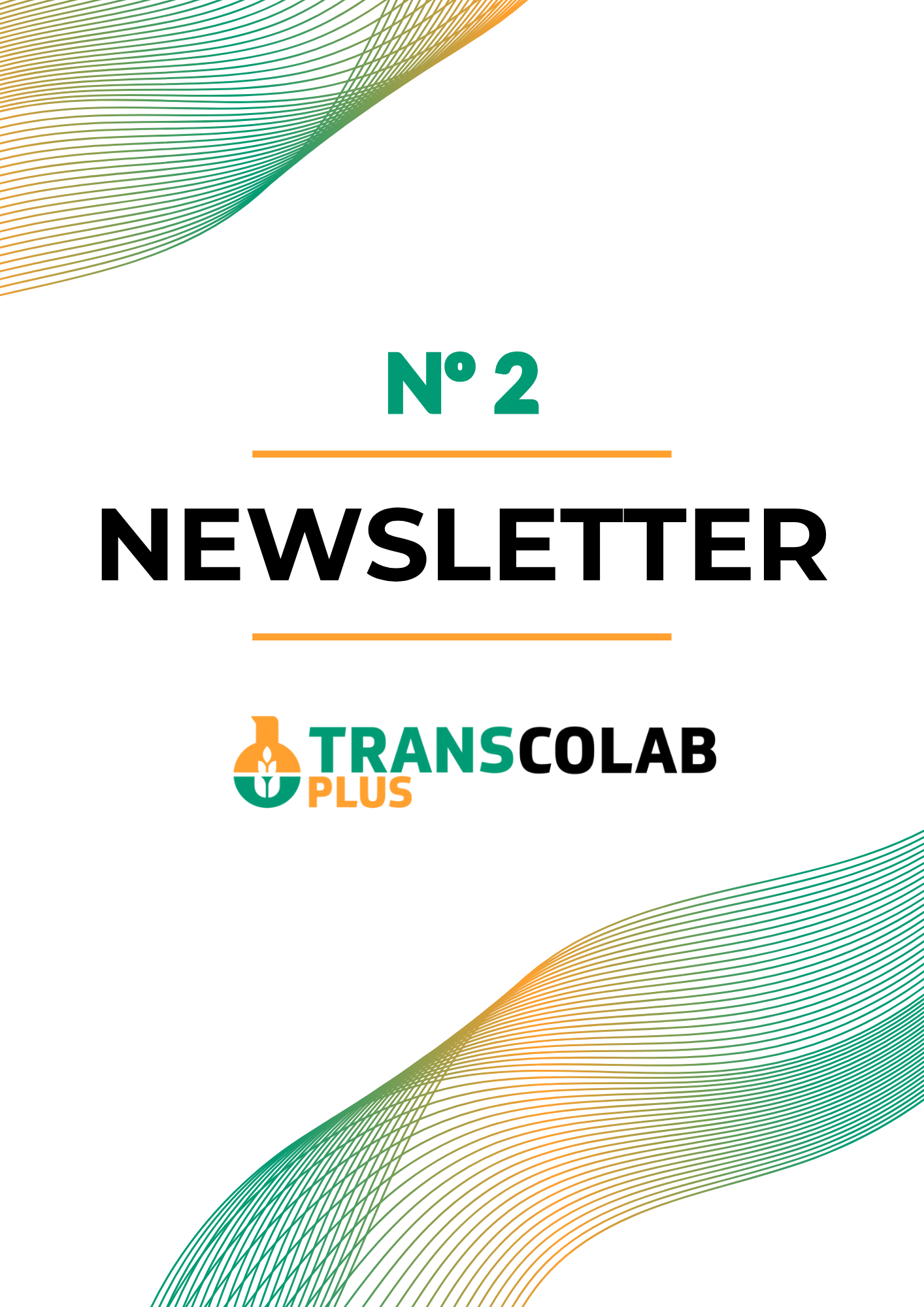 Imagen de portada de la Newsletter nº2 del Proyecto Transcolab Plus