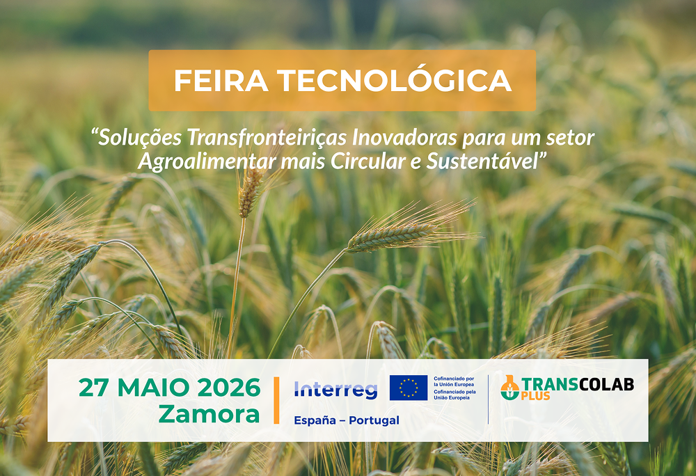 Cartaz da feira tecnológica 27/05/2026